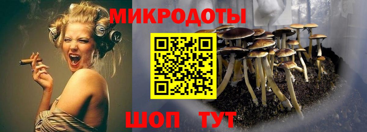 Псилоцибиновые грибы Psilocybe  Вход с VPN  Заречный  Псилоцибиновые грибы Psilocybine cubensis 
