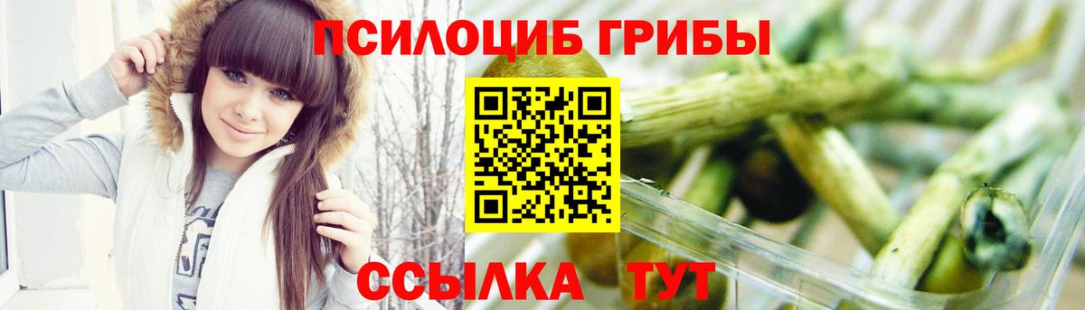 Галлюциногенные грибы MAGIC MUSHROOMS Заречный
